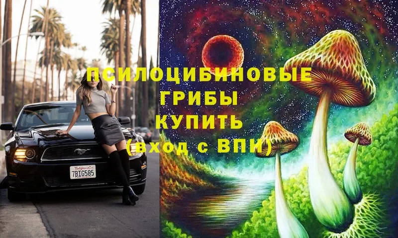 Галлюциногенные грибы MAGIC MUSHROOMS  Верхний Тагил 